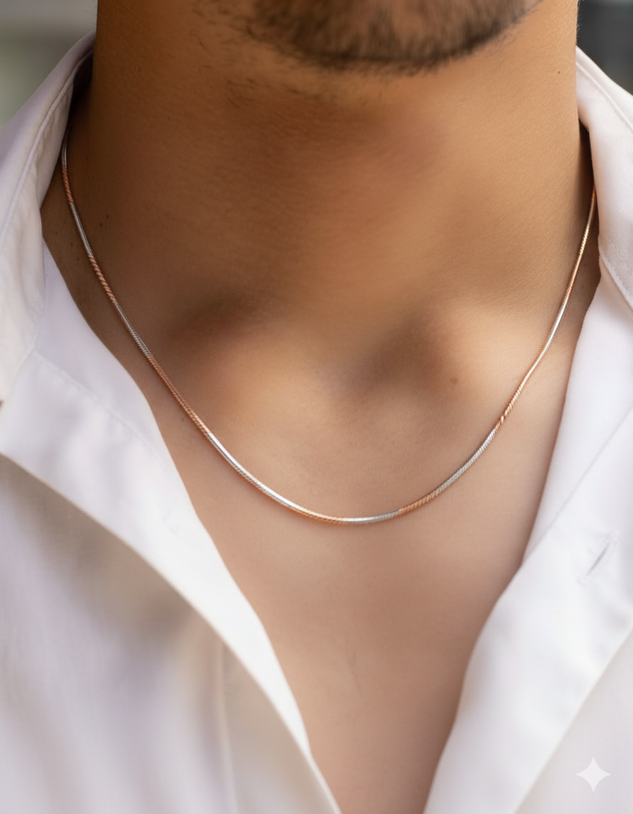 Simple Dual Ton Silver Chain